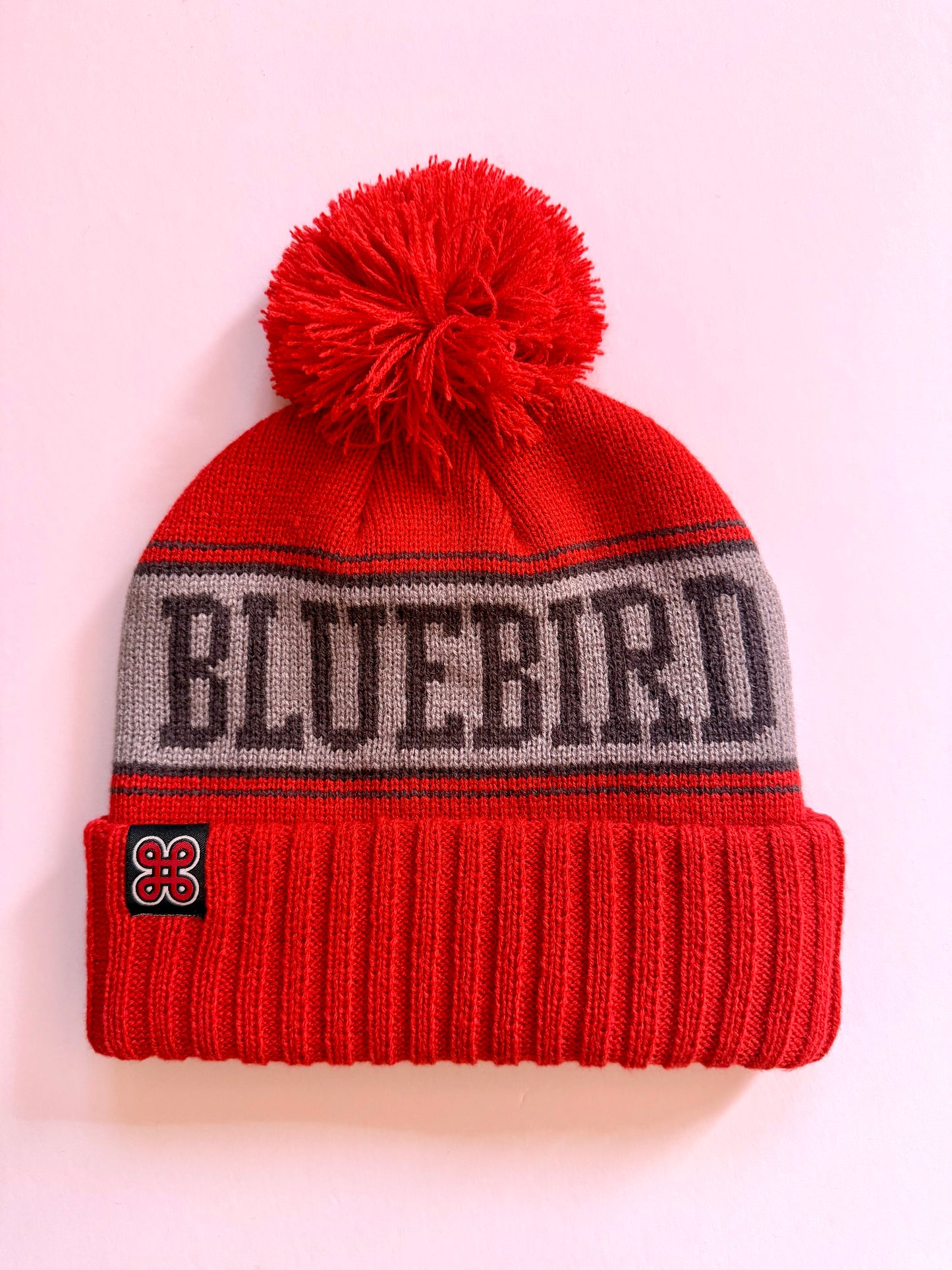 BLUEBIRD POM BEANIE (Multiple Colors)